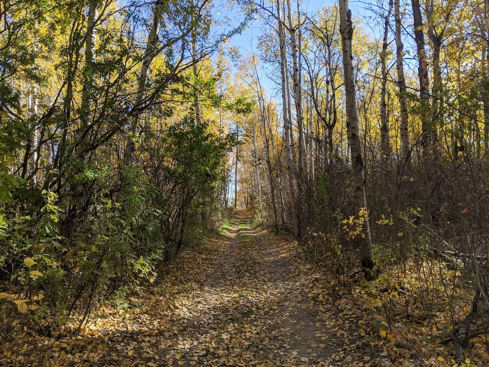 Bilby Nature Loop trail in the fall time