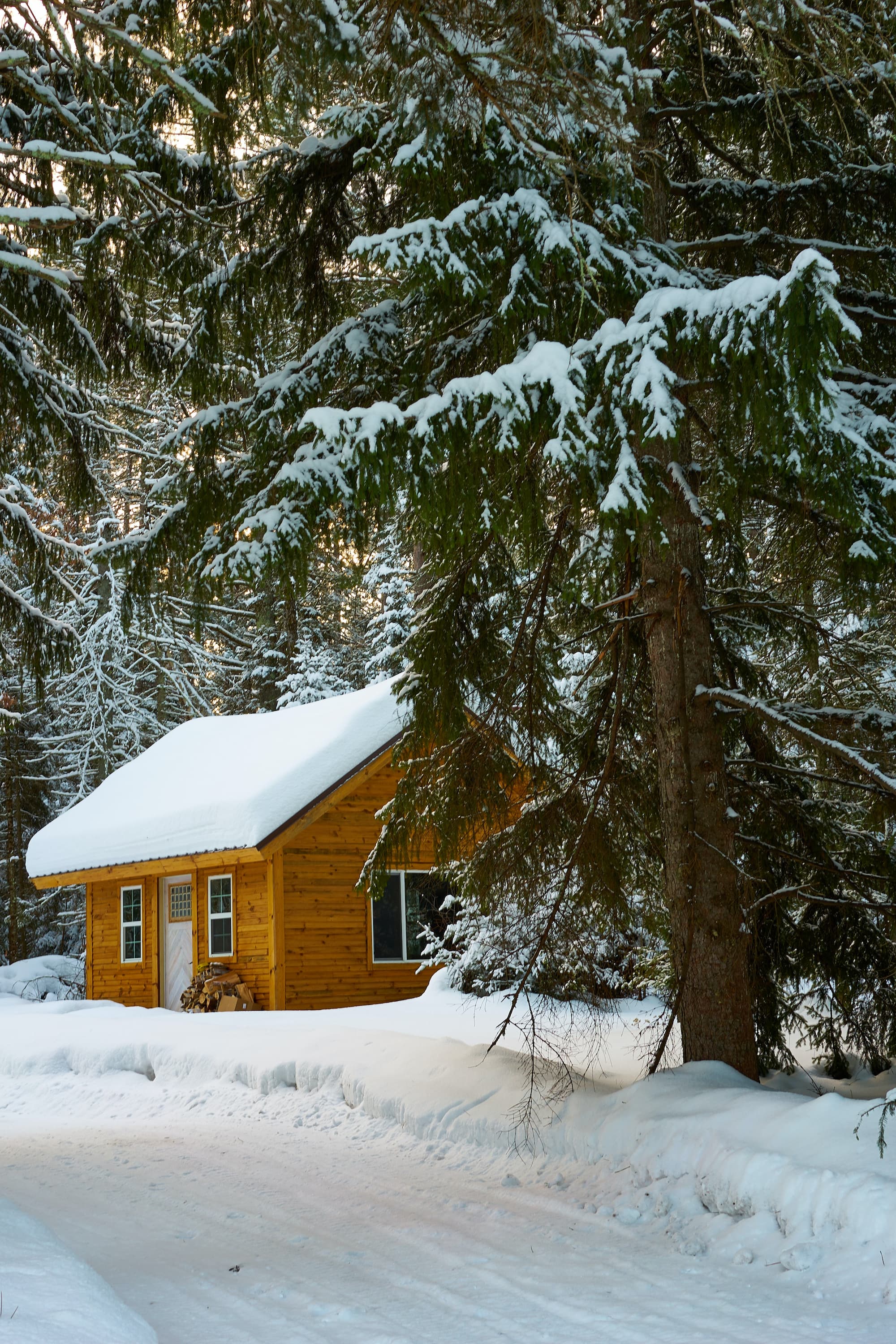 View of cabin in the woods during winter.